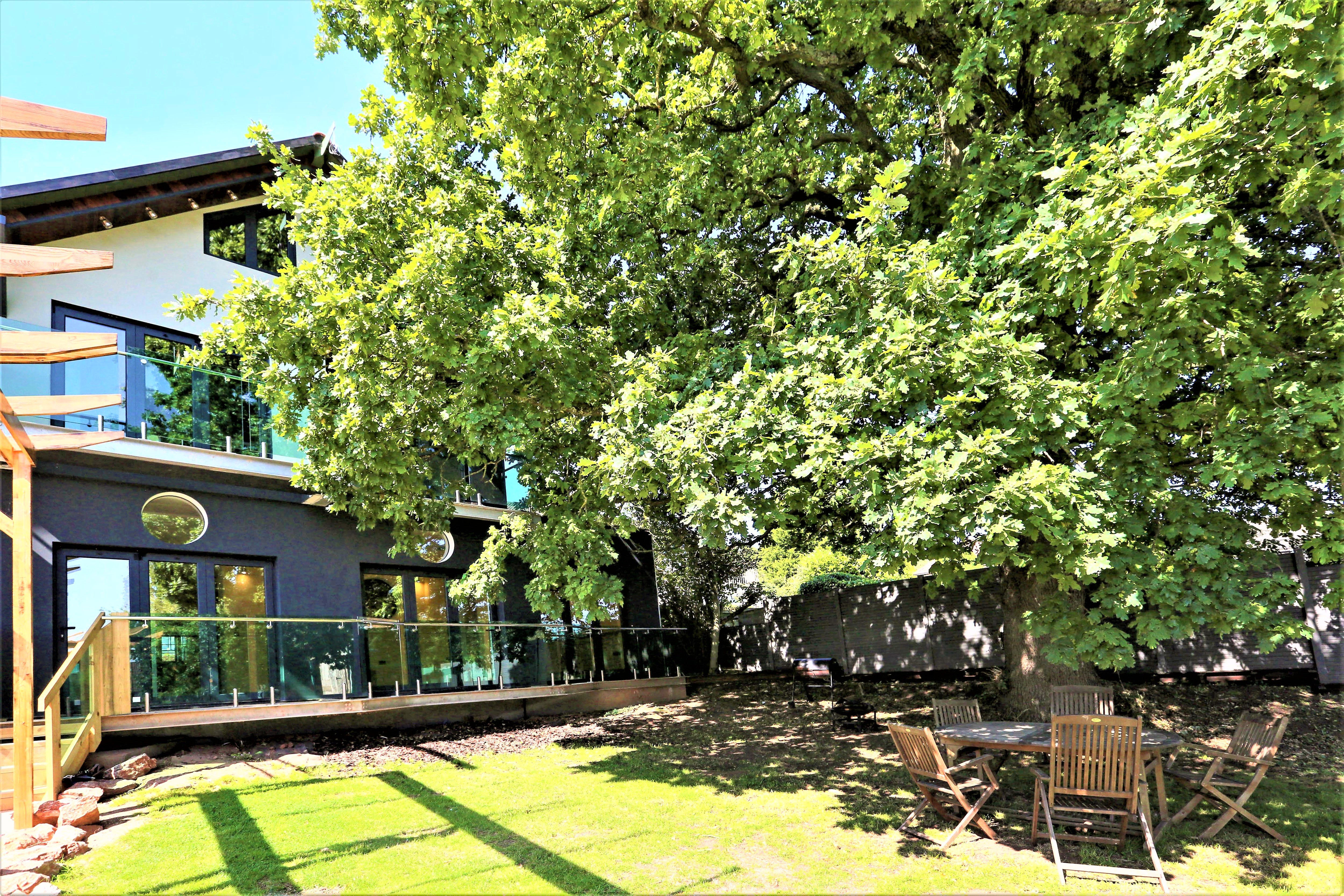 Sunny garden