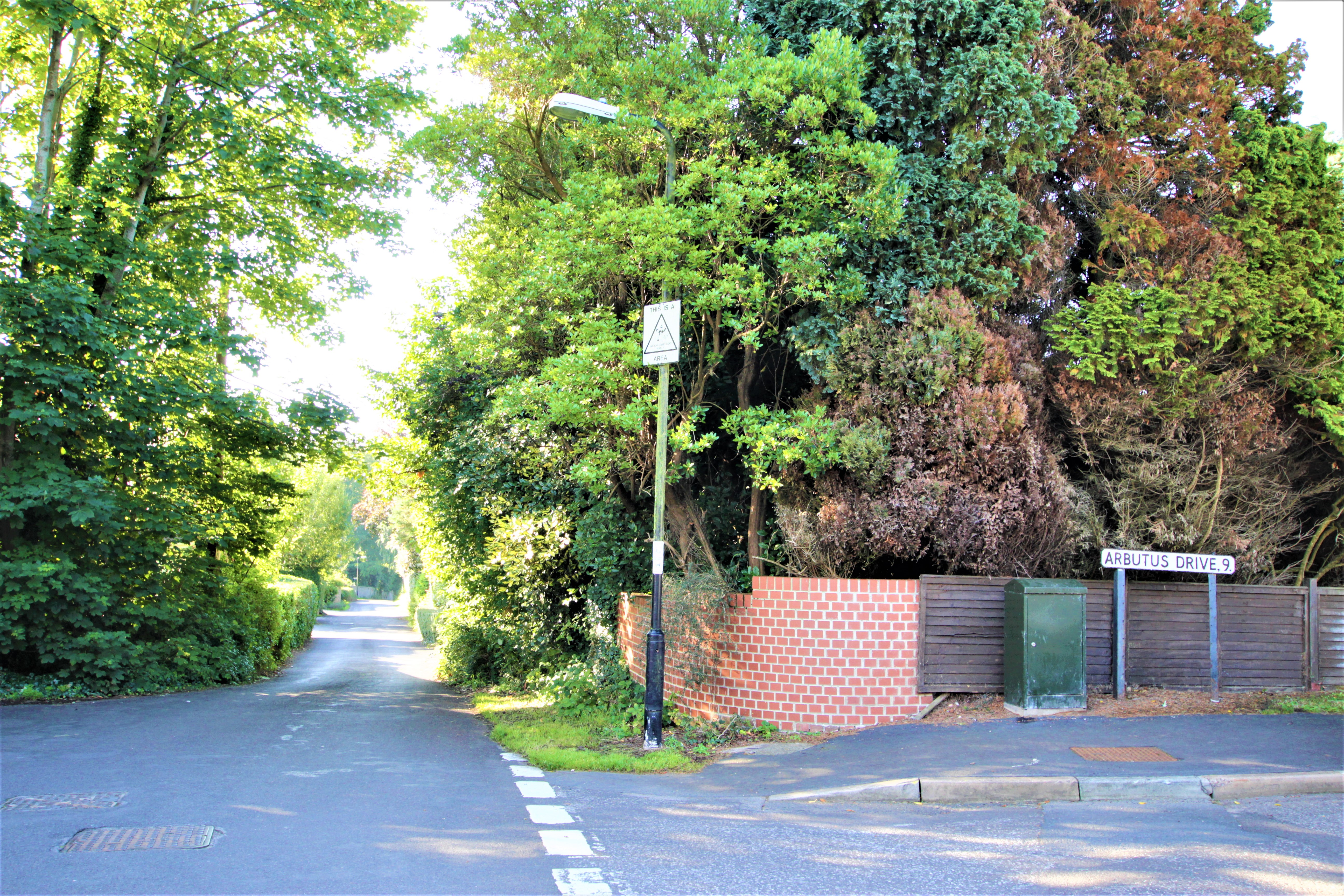50m from Deco Noir