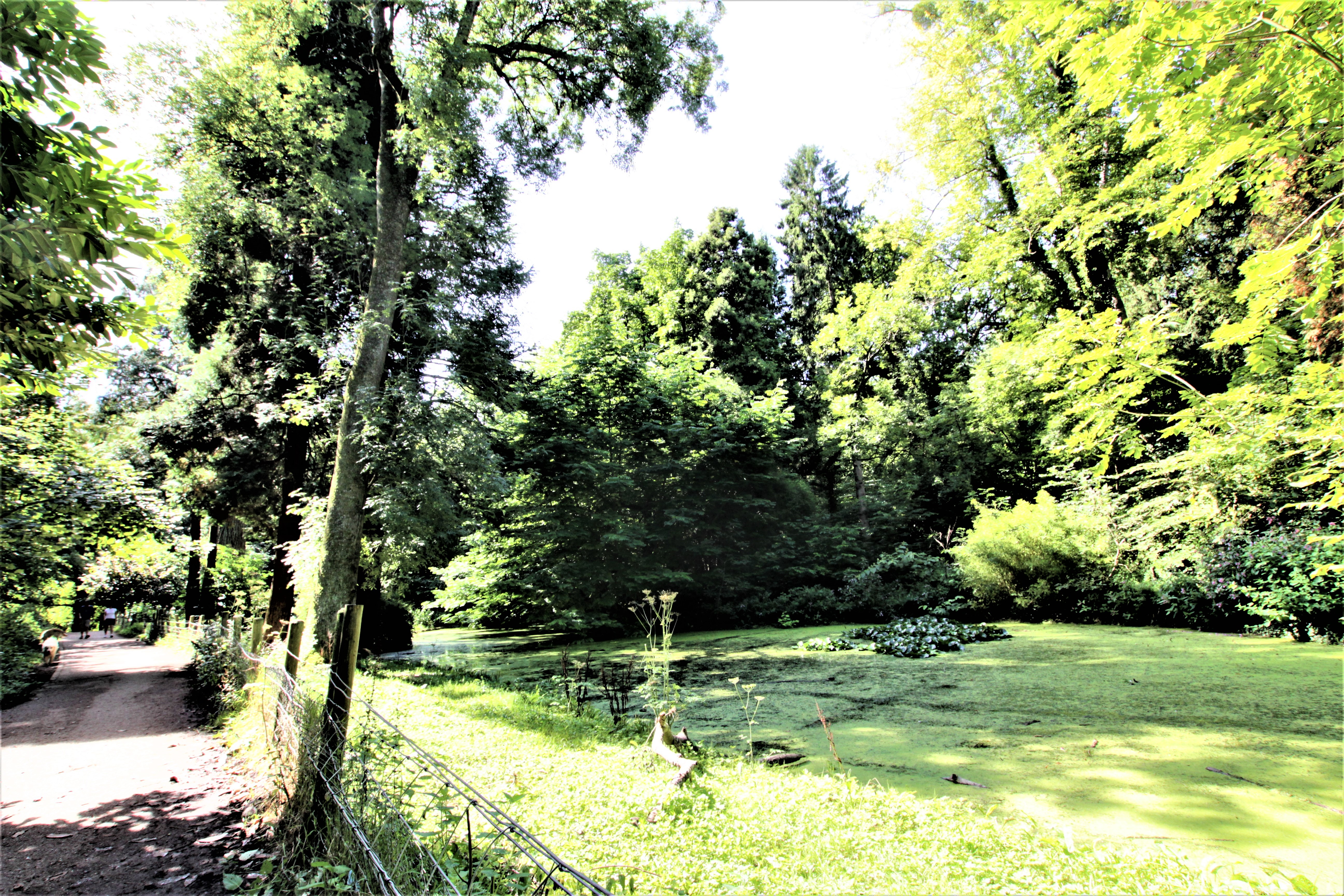 Grade II listed pond