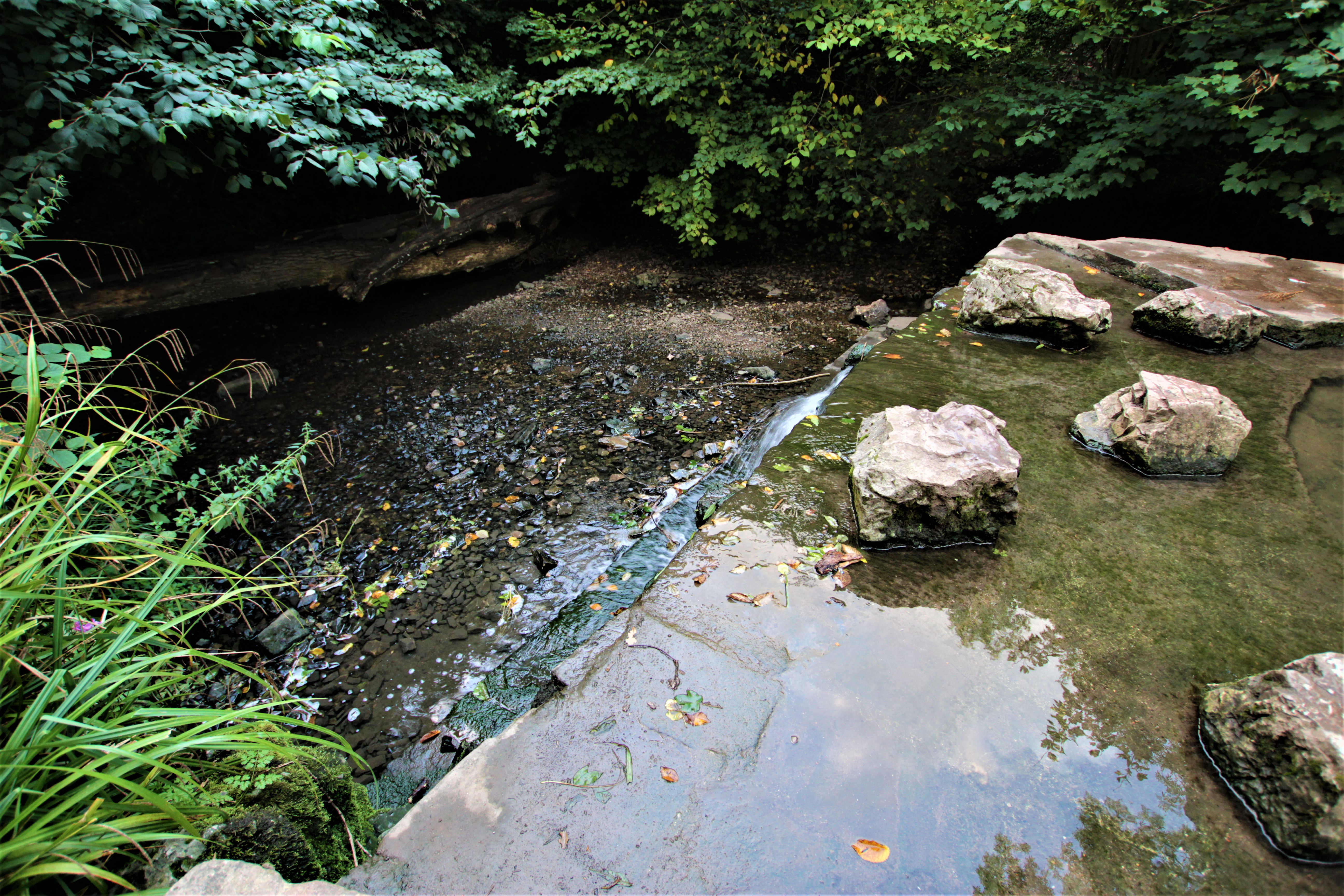 Hazel Brook