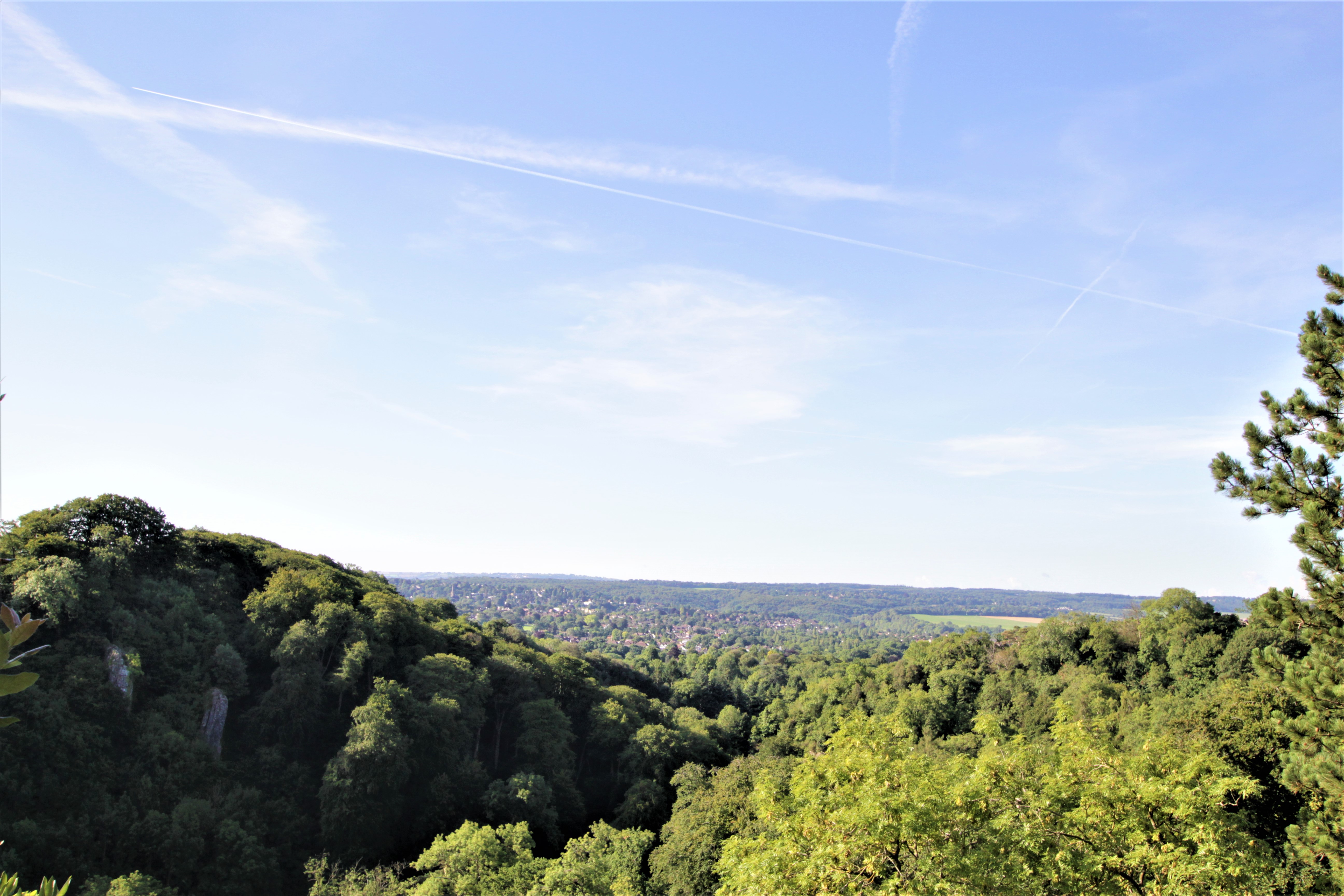 Local view 2
