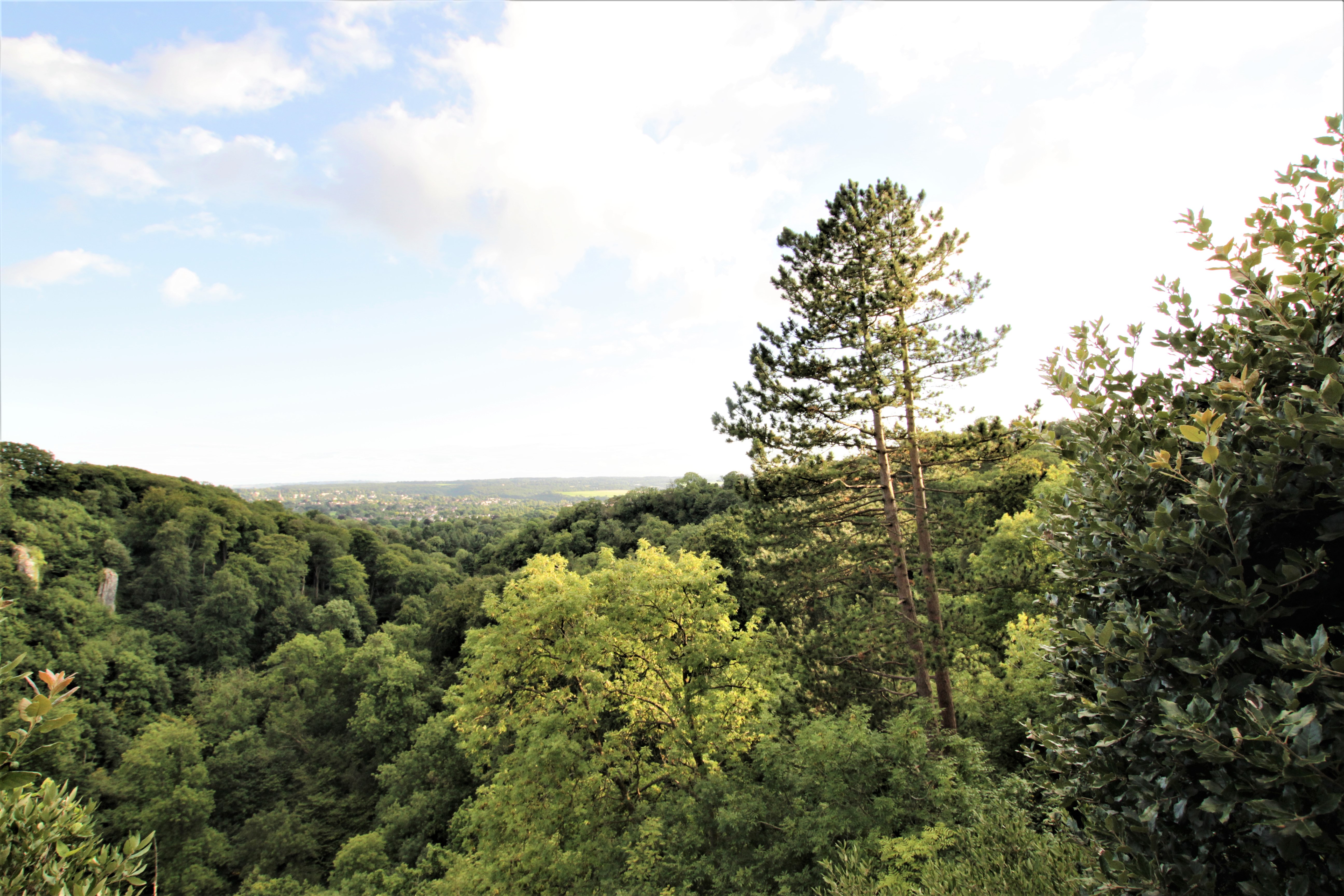 Local view 3