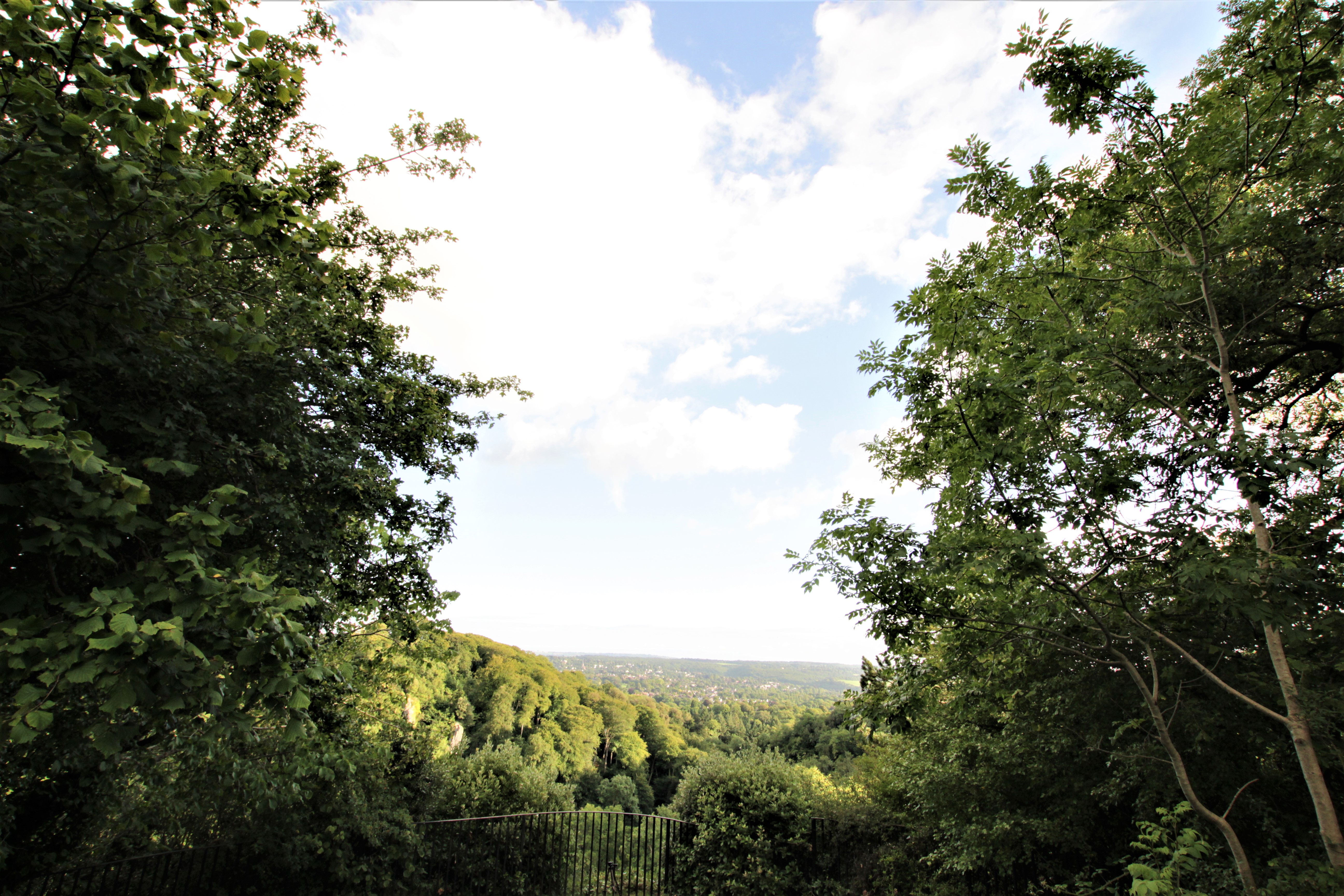 Local view 5